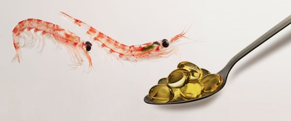 El aceite de Krill: la mejor fuente de Omega 3